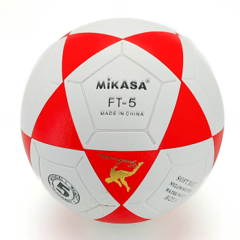 Хөл бөмбөг 06