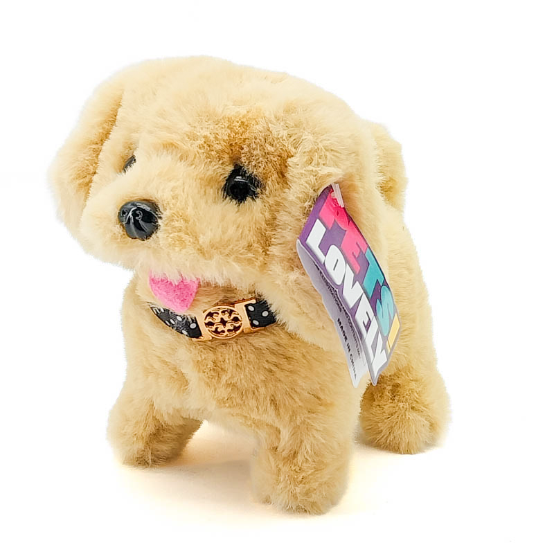 Дуутай хөгжөөнт тоглоом