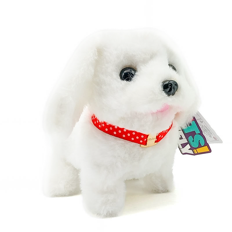 Дуутай хөгжөөнт тоглоом