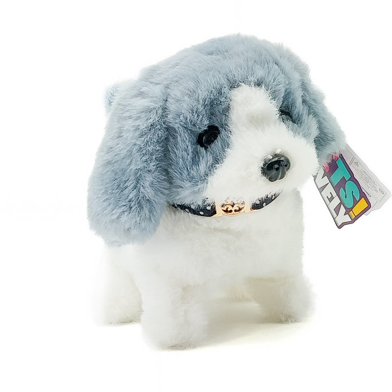 Дуутай хөгжөөнт тоглоом