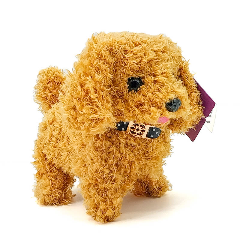 Дуутай хөгжөөнт тоглоом