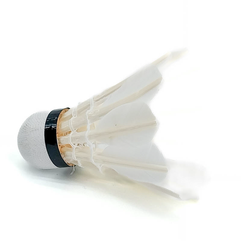 Сагсны кольцо